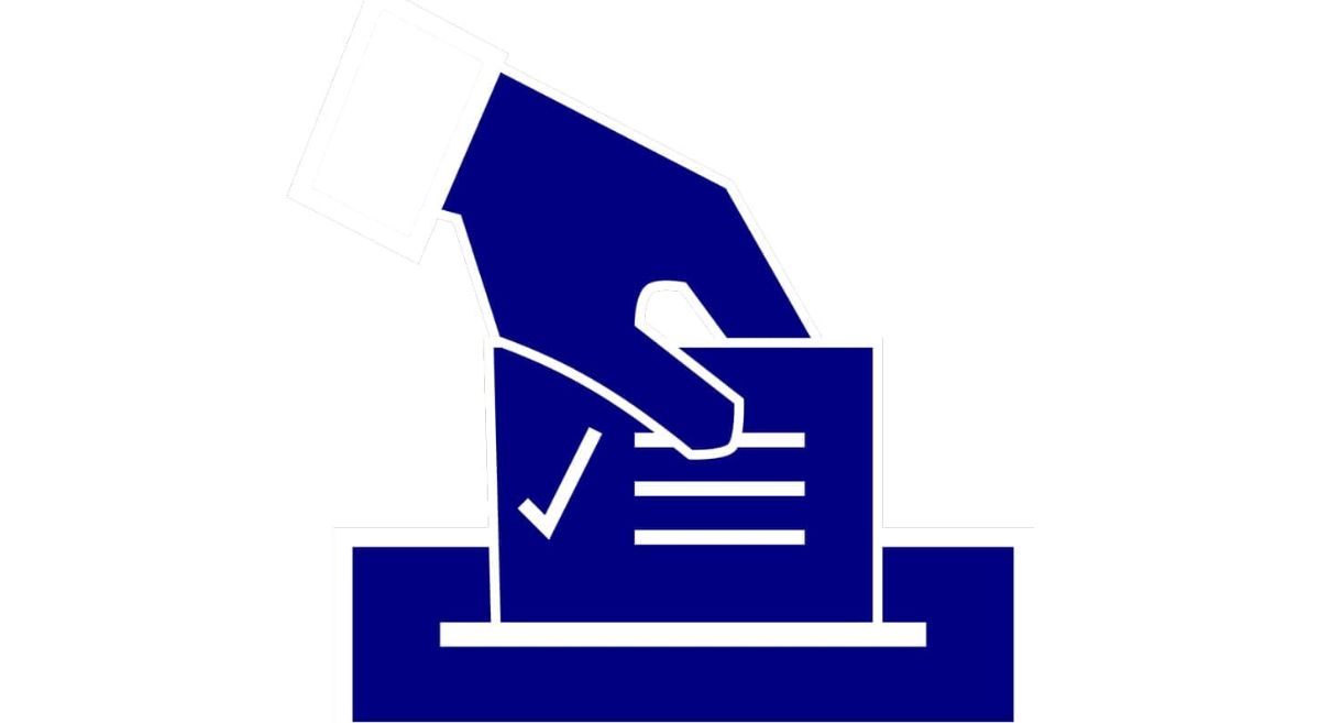 Blue Graphic, showing a hand placing a ballot into a box